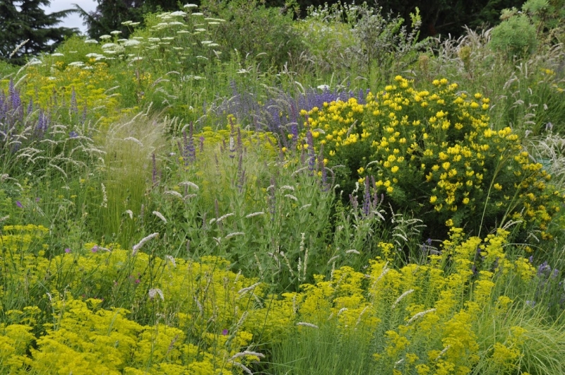 The Italian Branch of The Mediterranean Garden Society