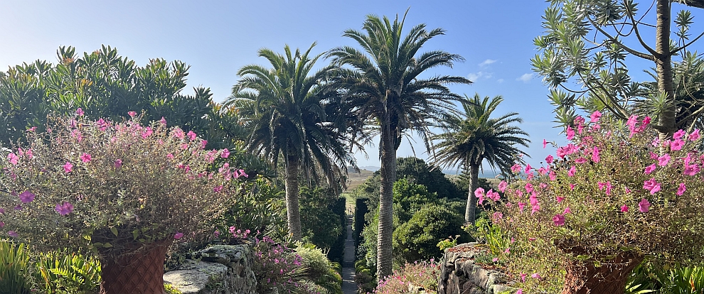 Kew Without a Roof – a Brief History and Tour of Tresco Abbey Gardens